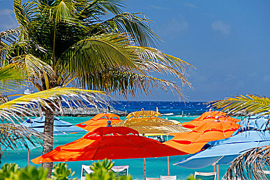 加勒比,巴哈马,伞,荫凉