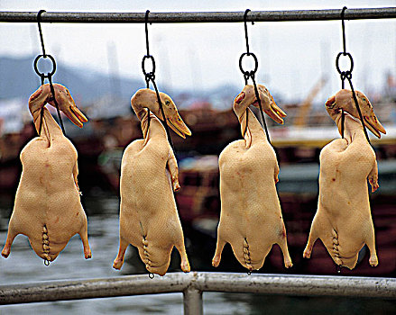 鸭肉,烤,香港
