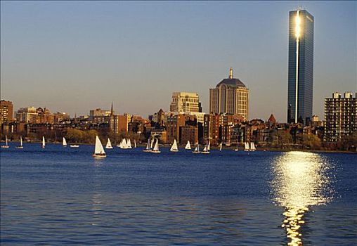 波士顿,天际线,日落,游艇,查尔斯河
