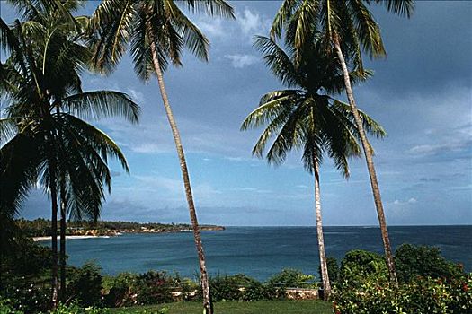 壮观,海景,多巴哥岛