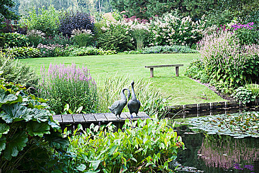 鹅,雕塑,木码头,水塘,优雅,风景,花园