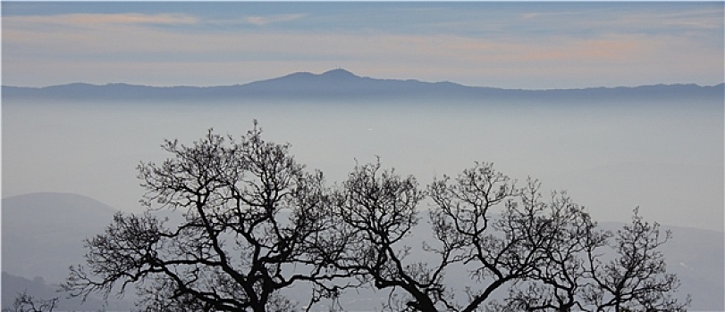 雾,雾气,秋天,上方,山,山顶,树,早晨