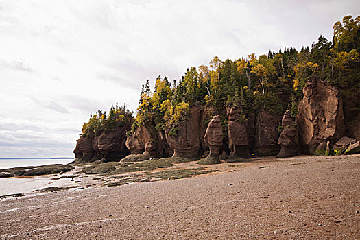 海滩,潮汐,石头,霍伯威尔岩,芬地湾,新布兰斯维克,加拿大