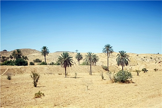 撒哈拉沙漠,迈特马泰