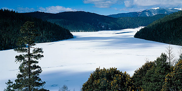 雪,场景,云南