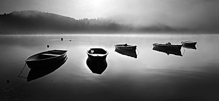 划艇,早晨,雾,日出,水库,黑森州,德国