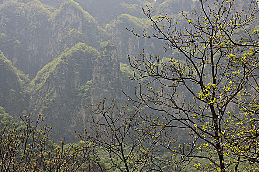 中国,河南,太行山