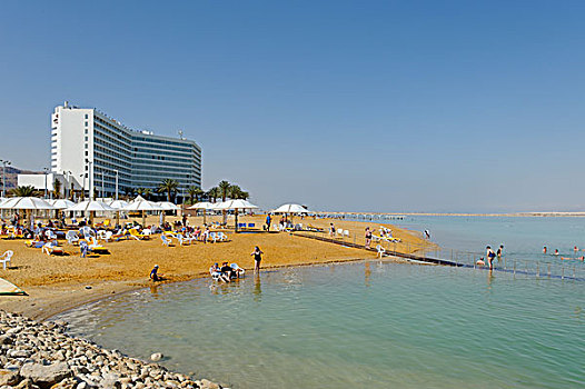 海滩,死海,以色列,中东