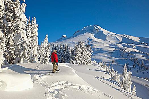 林木线,俄勒冈,美国,一个人,雪鞋,大雪,胡德山