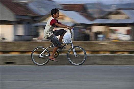 骑自行车,男孩,婆罗洲,印度尼西亚