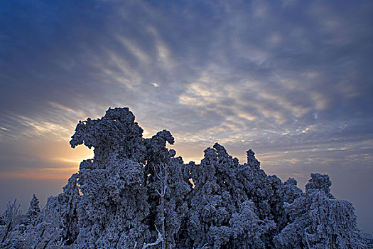 衡山冬景