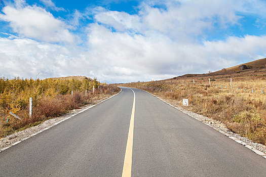 道路