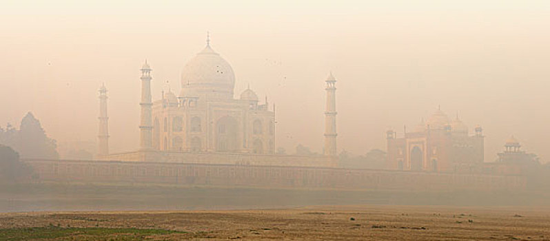 印度,泰姬陵,雾