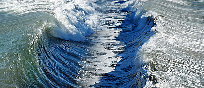 波浪,海洋,加利福尼亚,美国