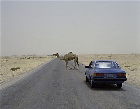 沙漠公路,巴林