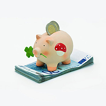 吉祥猪,小猪,硬币,投币孔,站立,堆,欧元,钞票