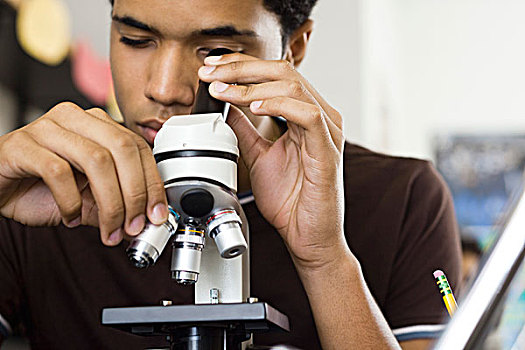 学生,看穿,显微镜