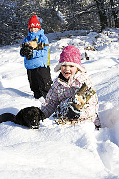 孩子,狗,收集,木头,雪中