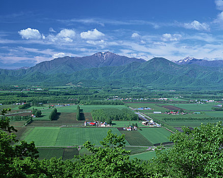 山峦,绿色