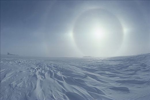 嘲弄,太阳,高处,雪地,明尼苏达