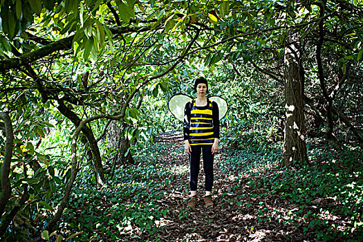 大,蜜蜂,树林