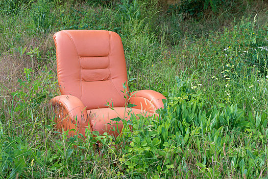 红色,椅子,站立,自然
