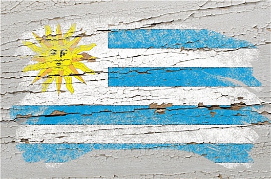 旗帜,乌拉圭,低劣,木质,纹理,涂绘,粉笔