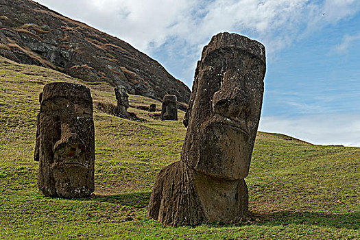 多,复活节岛石像,掩埋,地面,只有,头部,拉诺拉拉库采石场,复活节岛,智利,南美