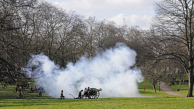 皇家,马,火炮,炮,行礼,绿色公园,白天,二月,伦敦,英格兰