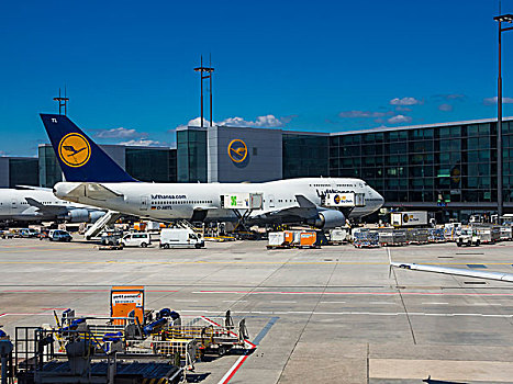 汉莎航空公司,波音747,法兰克福,机场,黑森州,德国,欧洲