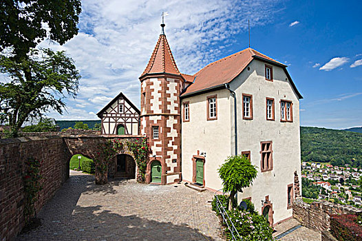 房子,城堡,地区,自然,公园,奥登瓦尔德,巴登符腾堡,德国,欧洲