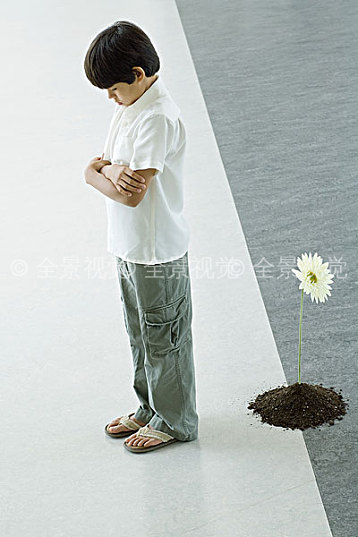 男孩_站立_背影_花_高清图片_全景视觉