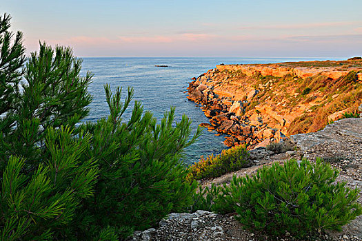 石头,海岸,早晨,地中海,法国