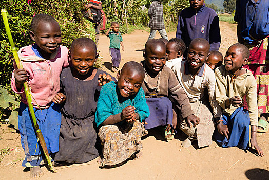 孩子,靠近,火山国家公园,卢旺达,非洲