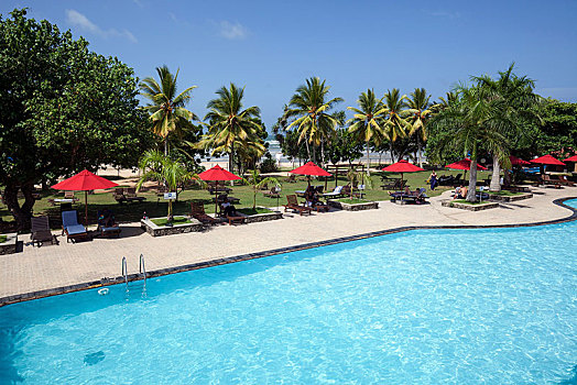 游泳池,酒店,棕榈树,布鲁维拉,西部,省,斯里兰卡,亚洲
