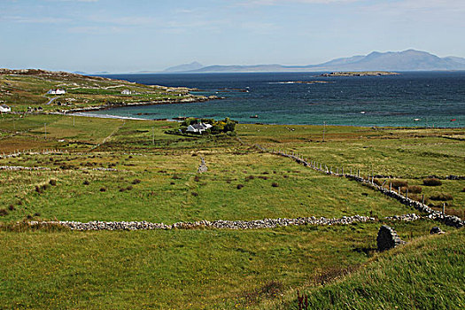 绿色,土地,石墙,岛屿,海岸,区域,戈尔韦郡,爱尔兰