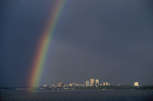 彩虹,上方,库克海峡,天际线,夏天
