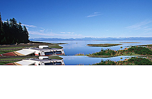 牡蛎,河,河口,靠近,坎贝尔河,温哥华岛,不列颠哥伦比亚省,加拿大