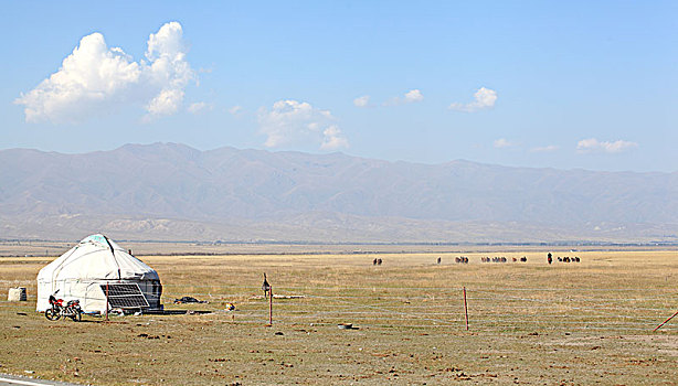 新疆夏塔,牧场
