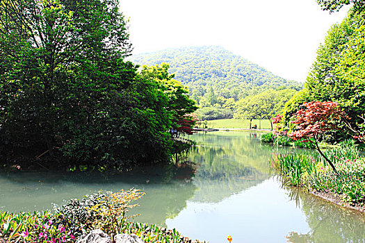 浙江杭州太子湾公园风光