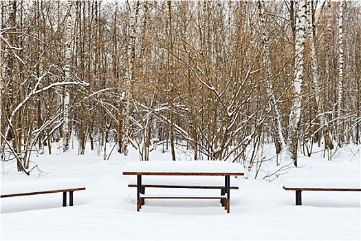 积雪,桌子,长椅,娱乐休闲区