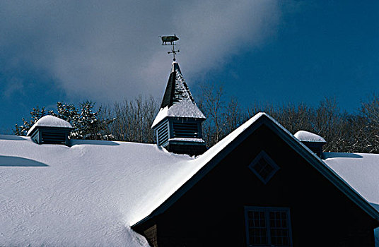 仰视,风向标,积雪,屋顶,建筑