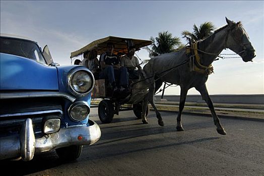 蓝色,美洲,老爷车,驾驶,旁侧,马车,西恩富戈斯,古巴