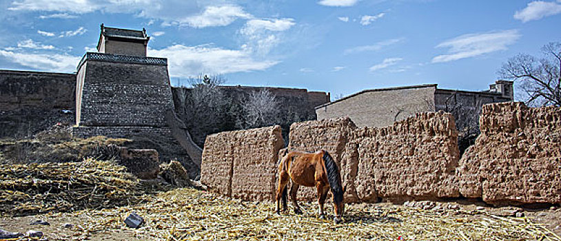 古城墙与马