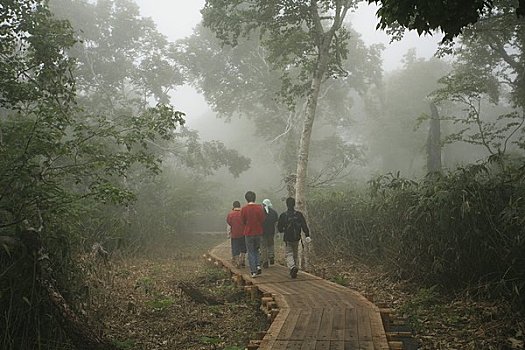 湿地,跋涉