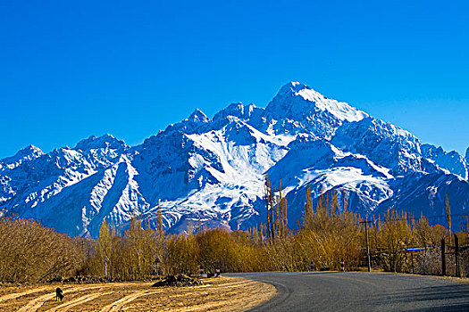 新疆,雪山,公路,秋色,蓝天