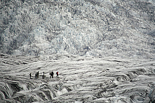 男人,走,冰河,冰岛