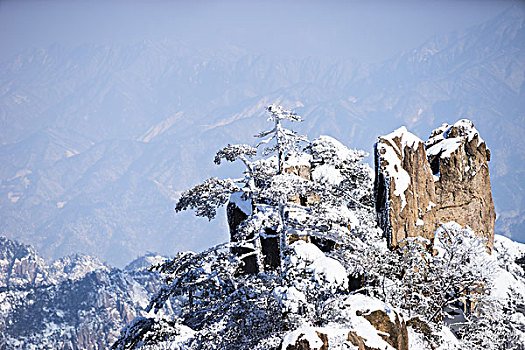 雪景,黄山,山,冬天