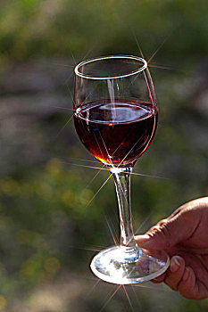 一只手端着盛好红酒的透明玻璃高脚杯