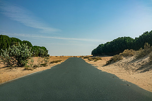 迪拜沙漠保护区公路杜巴艾因路